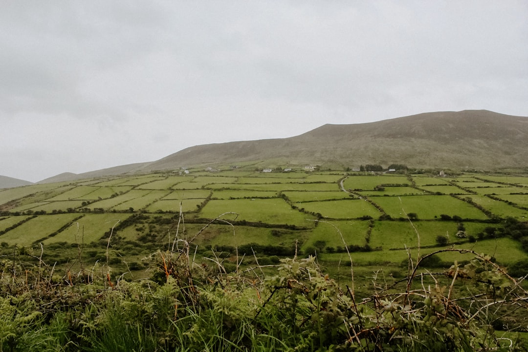 irish countryside with cars