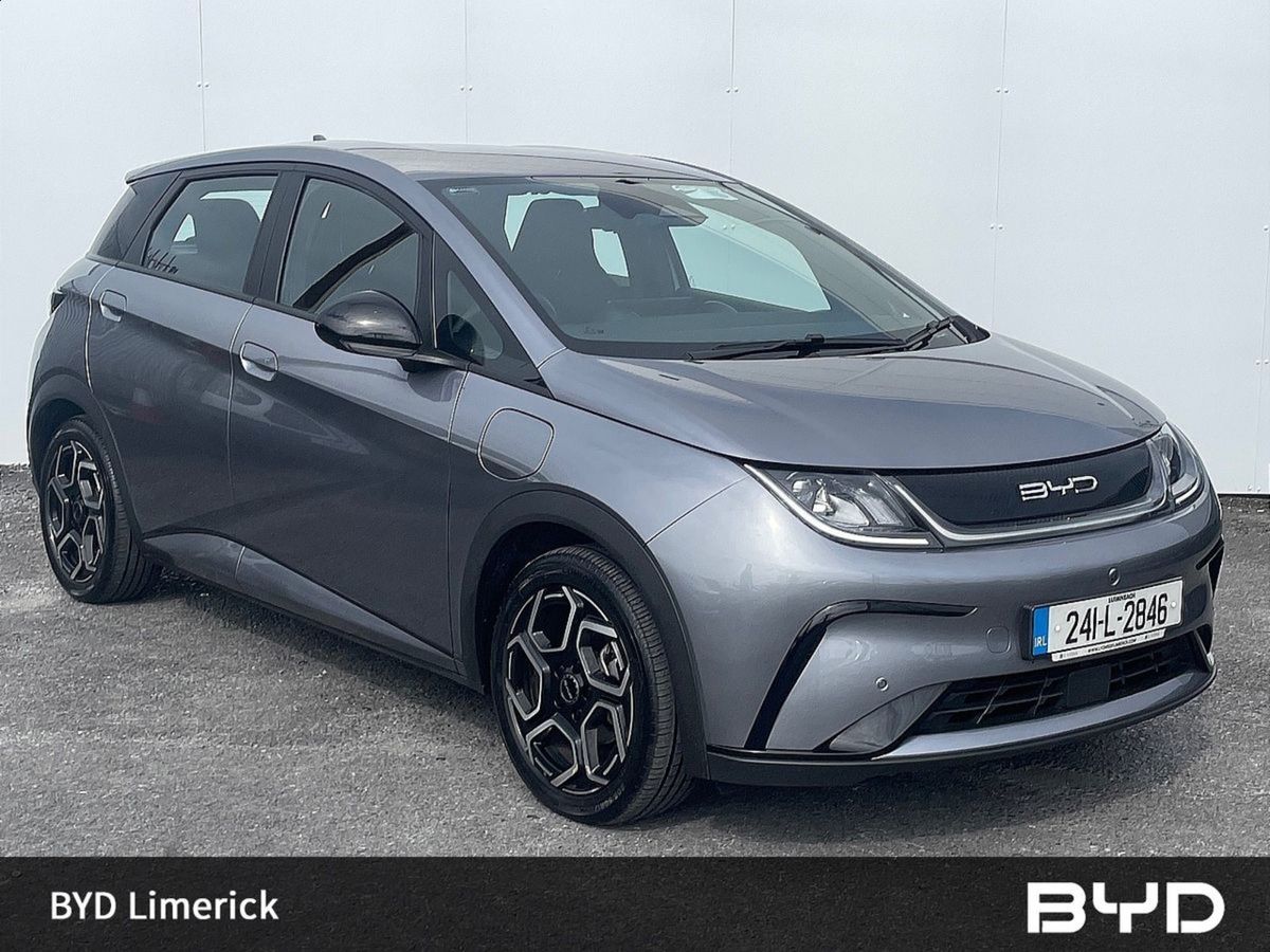 2024 BYD DOLPHIN